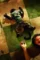 The hangover part ii p - DesireMovies, DesireMovies2.My